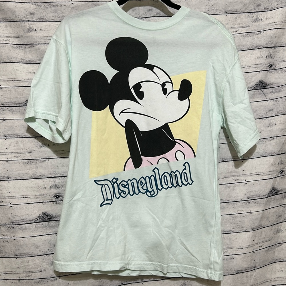 Disneyland T-shirt from the Disney park